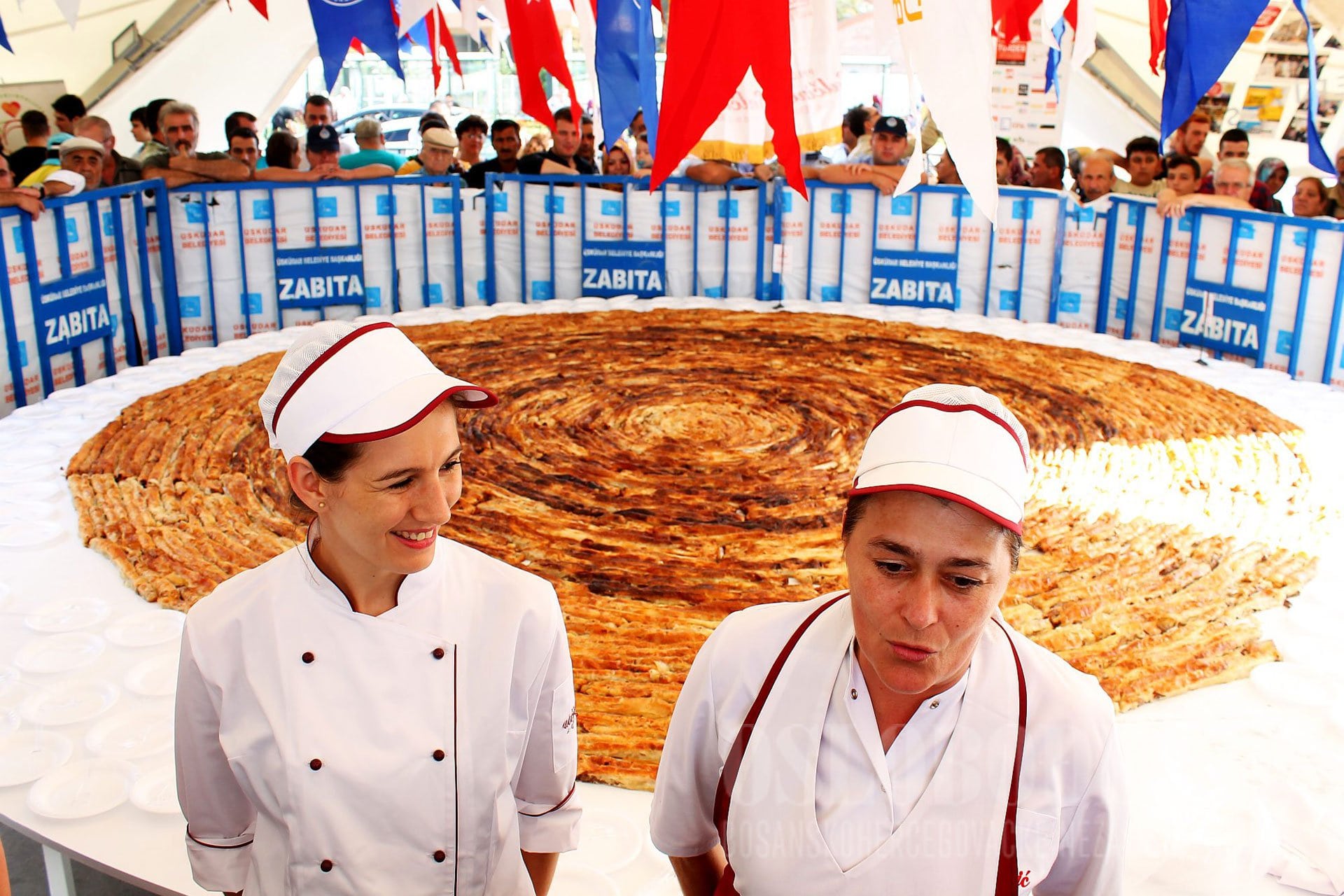 bosanska pita burek