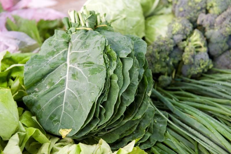 collards-food-herzegovina