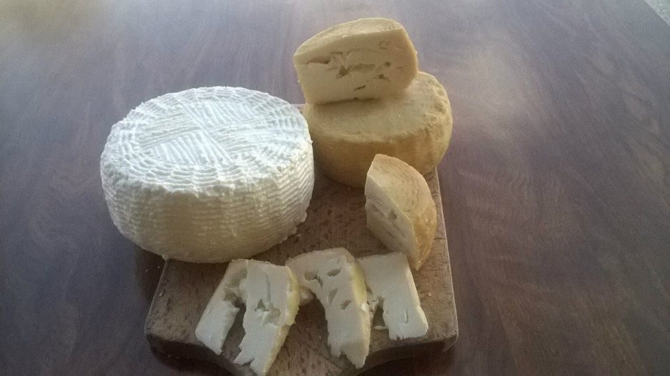 goat-cheese-blidinje-13
