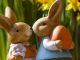 easter symbols bunny